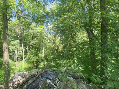 33 Mostly Tillable Acres with Pond in Bellevue, MI ~ Online Real - photo 5