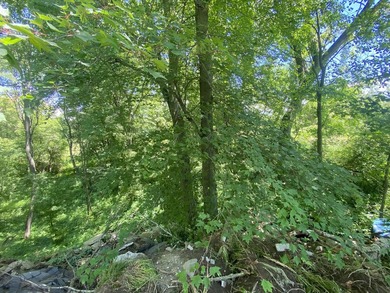 33 Mostly Tillable Acres with Pond in Bellevue, MI ~ Online Real - photo 6