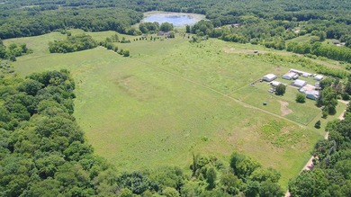 33 Mostly Tillable Acres with Pond in Bellevue, MI ~ Online Real - photo 7