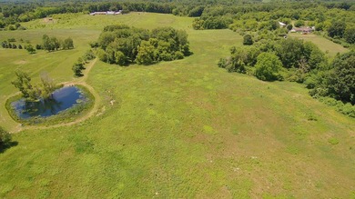 33 Mostly Tillable Acres with Pond in Bellevue, MI ~ Online Real - photo 8