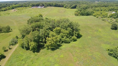 33 Mostly Tillable Acres with Pond in Bellevue, MI ~ Online Real - photo 9
