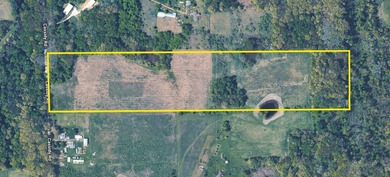 33 Mostly Tillable Acres with Pond in Bellevue, MI ~ Online Real - photo 10