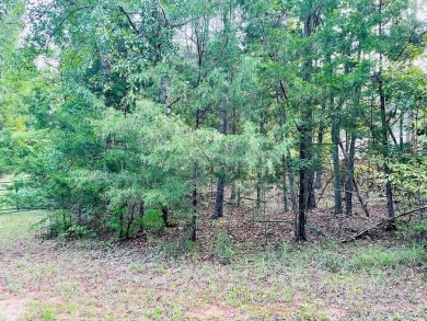Lake Lot For Sale in Abbeville, South Carolina