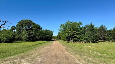 53.11 waterfront acres on Lake Tawakoni. Features a gated entry - photo 6