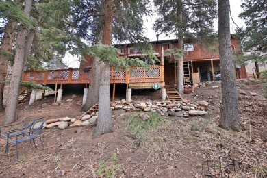 Willits Lake Home For Sale in Snowmass Colorado