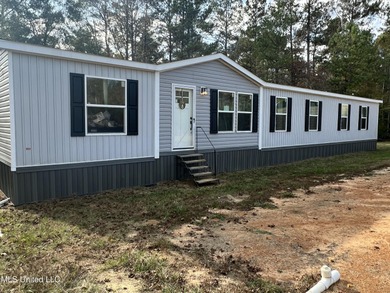 Lake Home For Sale in Wiggins, Mississippi