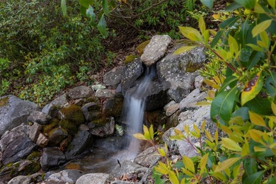 Perched within a quiet cul-de-sac in Lake Toxaway Estates, this - photo 47