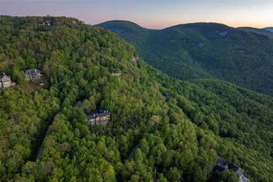 Perched within a quiet cul-de-sac in Lake Toxaway Estates, this - photo 50