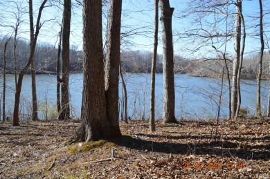 Mayo lake lot with 1.3 acres. Wooded lot with a very gentle - Lake Lot Sale Pending in Roxboro, North Carolina