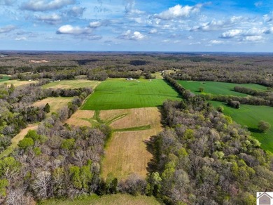 This tract offers a strong mix of hunting and tillable income - photo 1