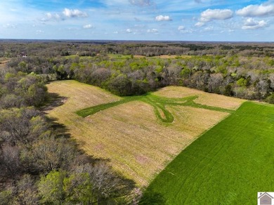 This tract offers a strong mix of hunting and tillable income - photo 2