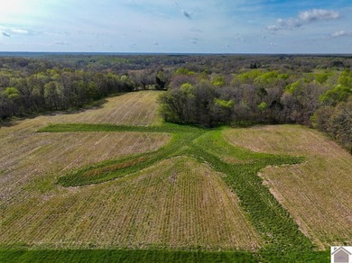 This tract offers a strong mix of hunting and tillable income - photo 3