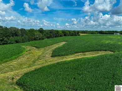 This tract offers a strong mix of hunting and tillable income - photo 4