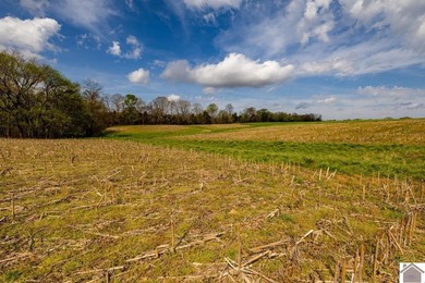 This tract offers a strong mix of hunting and tillable income - photo 5