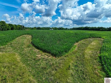 This tract offers a strong mix of hunting and tillable income - photo 6