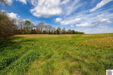 This tract offers a strong mix of hunting and tillable income - photo 7