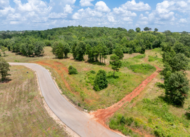 Stone Chimney Cove has a private setting and lake access - Lake Lot For Sale in Bullard, Texas