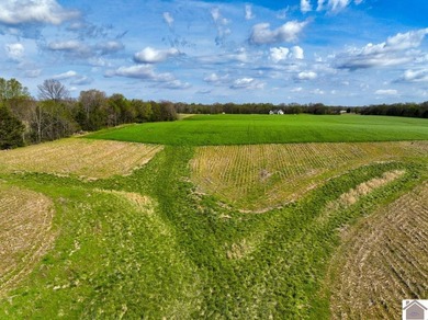 This tract offers a strong mix of hunting and tillable income - photo 8