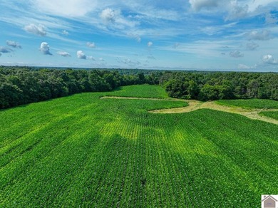 This tract offers a strong mix of hunting and tillable income - photo 9