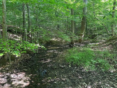 #73520-Rugged Retreat!! Thinking of a perfect spot for a tiny - photo 13