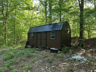 #73520-Rugged Retreat!! Thinking of a perfect spot for a tiny - photo 14