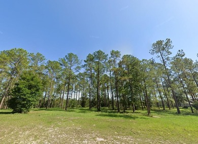 (private lake, pond, creek) Acreage For Sale in Eustis Florida