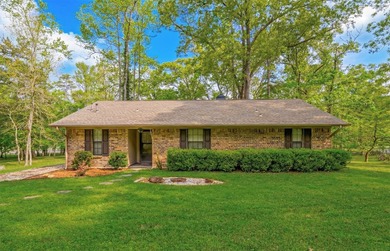 Turn-key lake house with a huge 1.25 Acre lot! Take a look at - photo 1