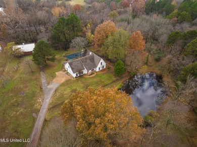 Lake Home For Sale in Olive Branch, Mississippi