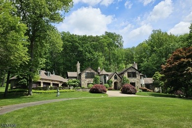 Nestled within the scenic Mendham Borough landscape, this - photo 3