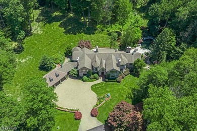 Nestled within the scenic Mendham Borough landscape, this - photo 4