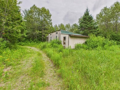 (private lake, pond, creek) Home For Sale in Sherman Maine