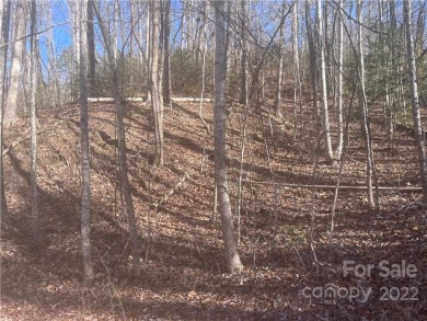 Beautiful ridge lot in friendly gated community.  Two private - Lake Lot For Sale in Lake Lure, North Carolina