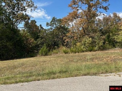 Lake Acreage For Sale in Mountain Home, Arkansas