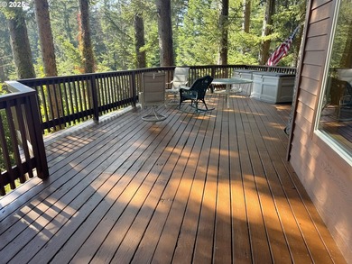 Serene Cabin Retreat with Panoramic Mountain Views - Whaleshead - photo 20