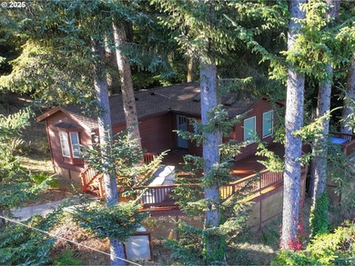 Serene Cabin Retreat with Panoramic Mountain Views - Whaleshead - photo 28