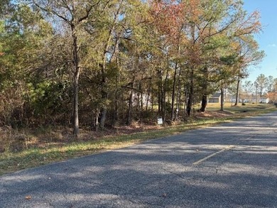 Lake Marion Acreage For Sale in Cross South Carolina