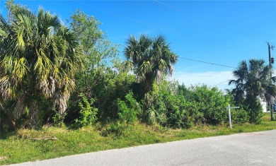 Port Charlotte Waterway Lakes Area Lot For Sale in Port Charlotte Florida