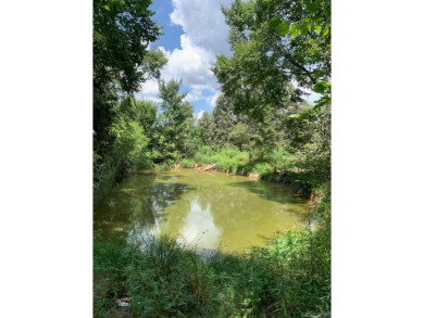 (private lake, pond, creek) Acreage For Sale in Paragould Arkansas