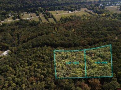 Lake Lot For Sale in Norfork, Arkansas
