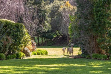 Nestled in the coveted Carmel Valley Ranch community, 9542 Maple - photo 22