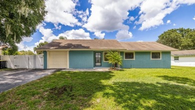 Ned Lake Home For Sale in Winter Haven Florida