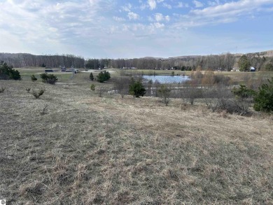 Lake Acreage For Sale in Ellsworth, Michigan