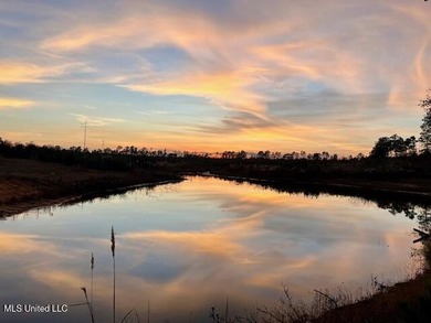 Lake Acreage For Sale in Ruth, Mississippi