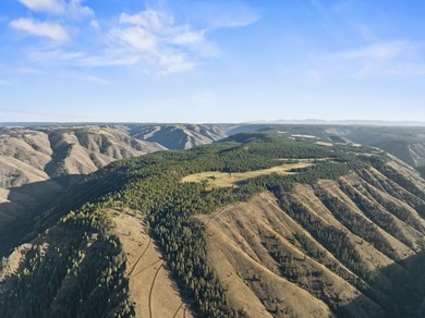 In the Nez Perce language, the word 'Powwaka' has been - photo 2