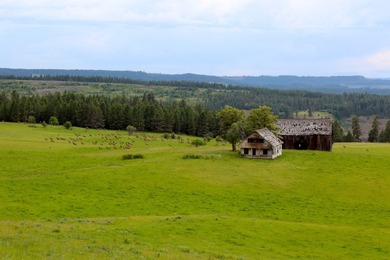 In the Nez Perce language, the word 'Powwaka' has been - photo 9