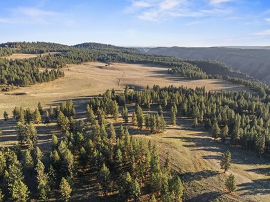 In the Nez Perce language, the word 'Powwaka' has been - photo 10