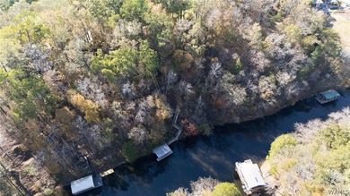 Peaceful Lake Tuscaloosa retreat on over an acre! This 3BR/2.5BA - photo 30