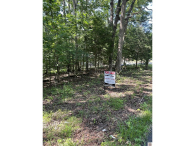 Lake Lot For Sale in Cadiz, Kentucky