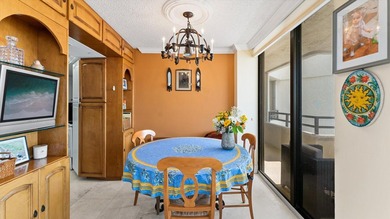 Sunny southeast ocean views from this furnished 2 bedroom/2 bath - photo 13
