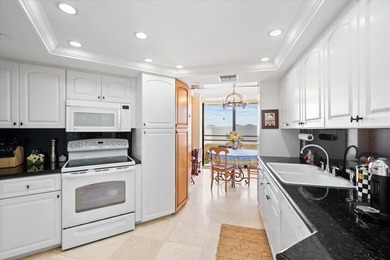 Sunny southeast ocean views from this furnished 2 bedroom/2 bath - photo 15